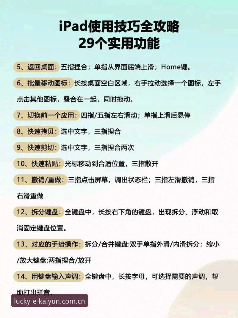 新手必看：开云体育苹果版使用的7个关键步骤